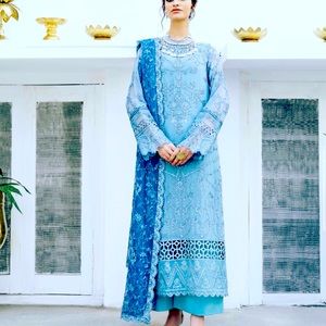 Luxurious Hand Crafted Silk Organza Party Wear🌺